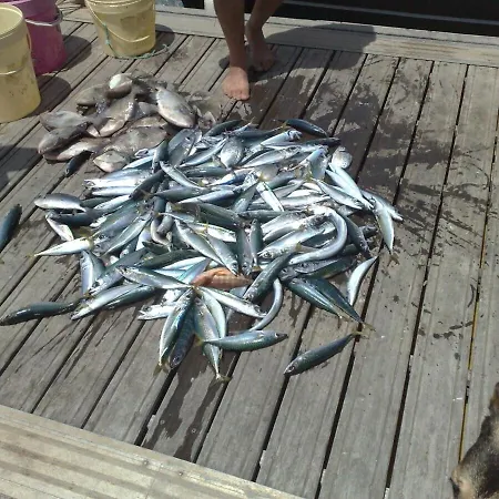 Close To 1 Bedroom Da At08 Апартаменты Алвор